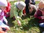 038_pilt_285.jpg - 